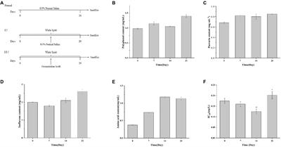 Effect of the Fermentation Broth of the Mixture of Pueraria lobata, Lonicera japonica, and Crataegus pinnatifida by Lactobacillus rhamnosus 217-1 on Liver Health and Intestinal Flora in Mice With Alcoholic Liver Disease Induced by Liquor